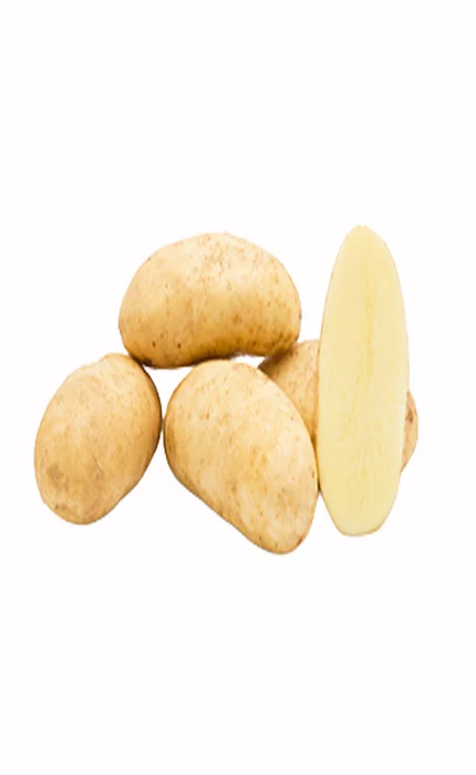 بطاطس سانتانا